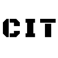 Consultants in Information Technology